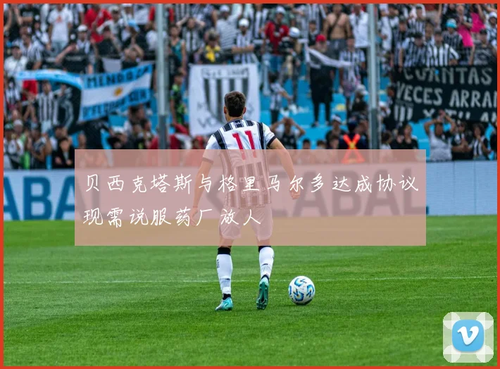 贝西克塔斯与格里马尔多达成协议现需说服药厂放人
