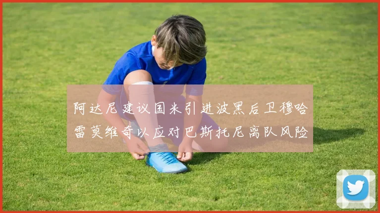 阿达尼建议国米引进波黑后卫穆哈雷莫维奇以应对巴斯托尼离队风险