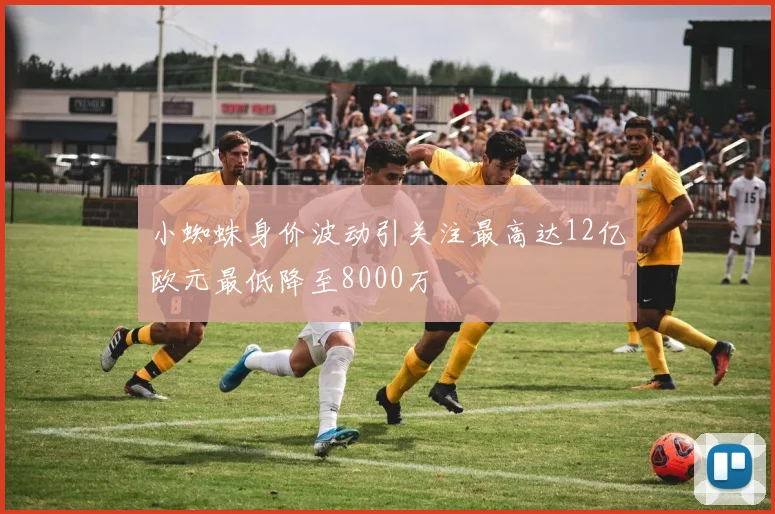 小蜘蛛身价波动引关注最高达12亿欧元最低降至8000万