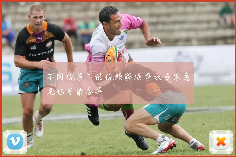 不同视角下的视频解读争议专家意见也可能各异